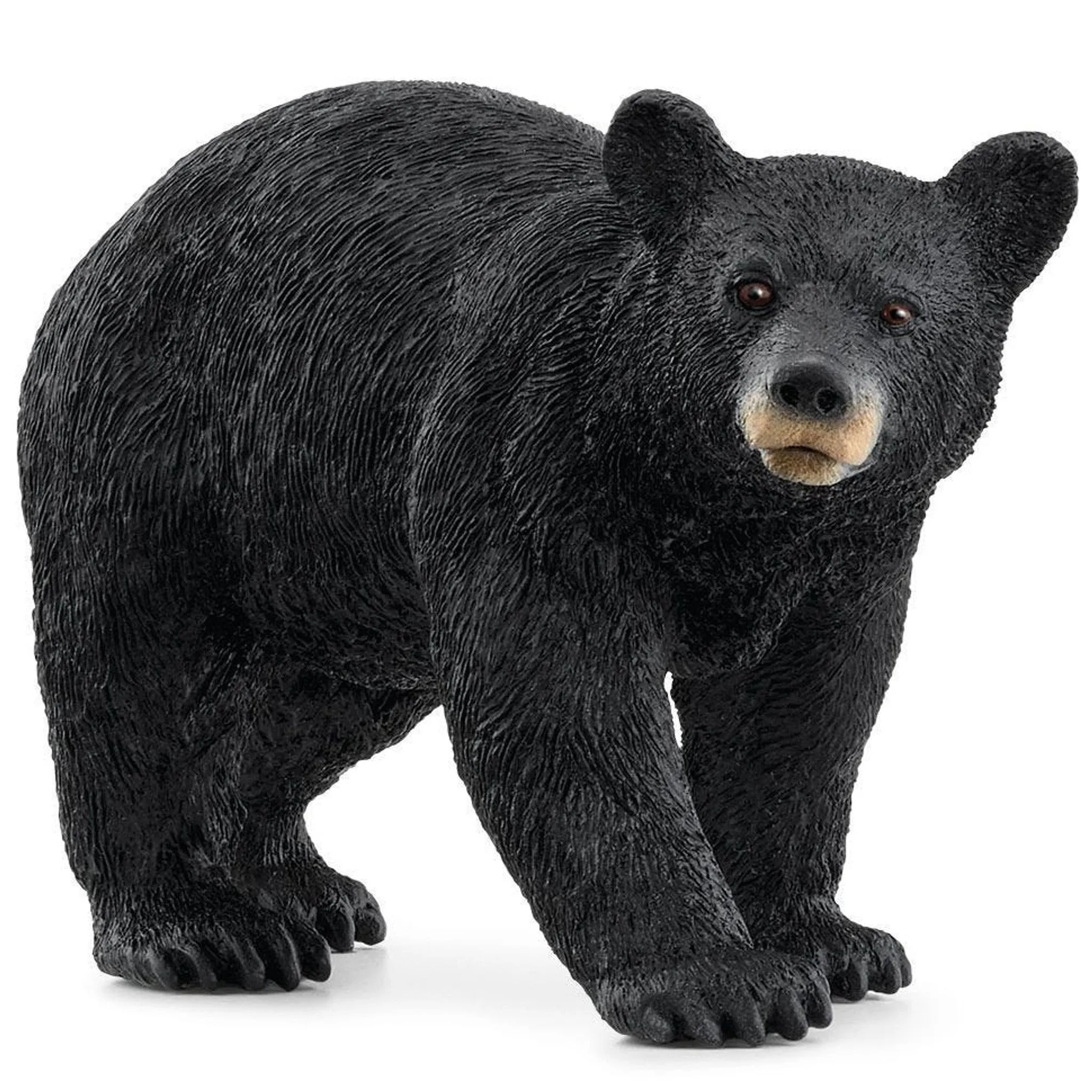 14869 SCHLEICH AMERICAN BLACK BEAR