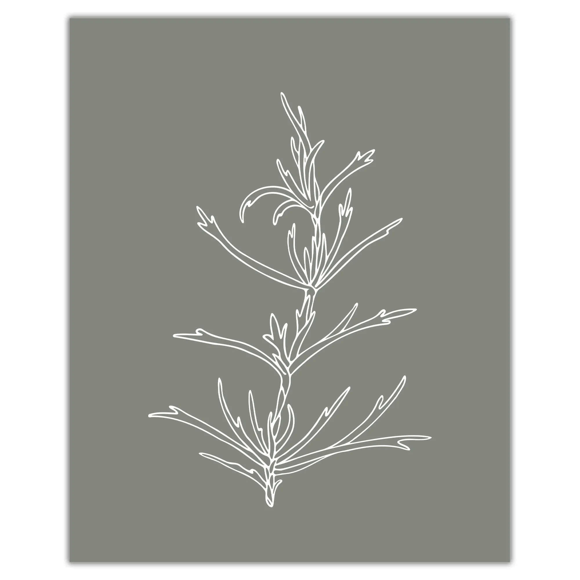 Botanical Herb Silhouettes in Warm Farmhouse Colors