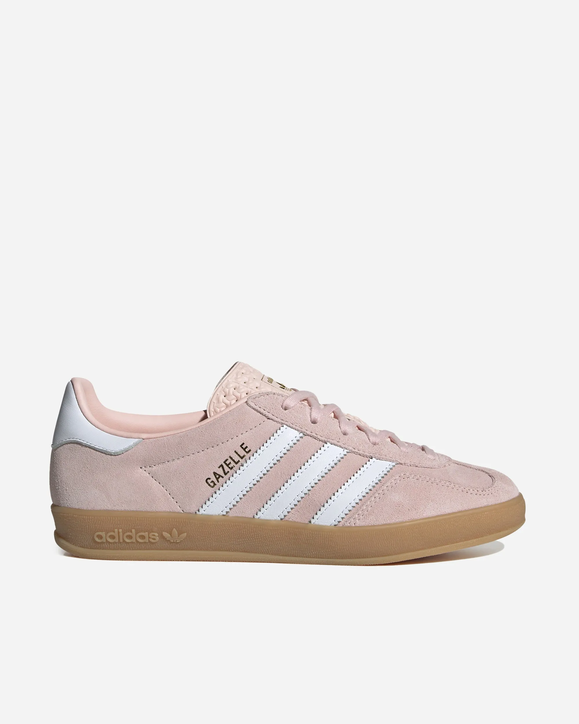 Gazelle Indoor