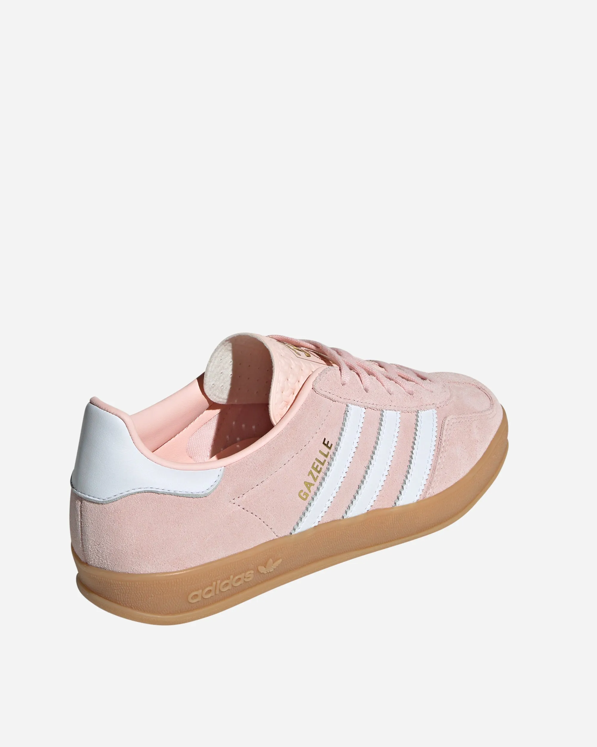 Gazelle Indoor