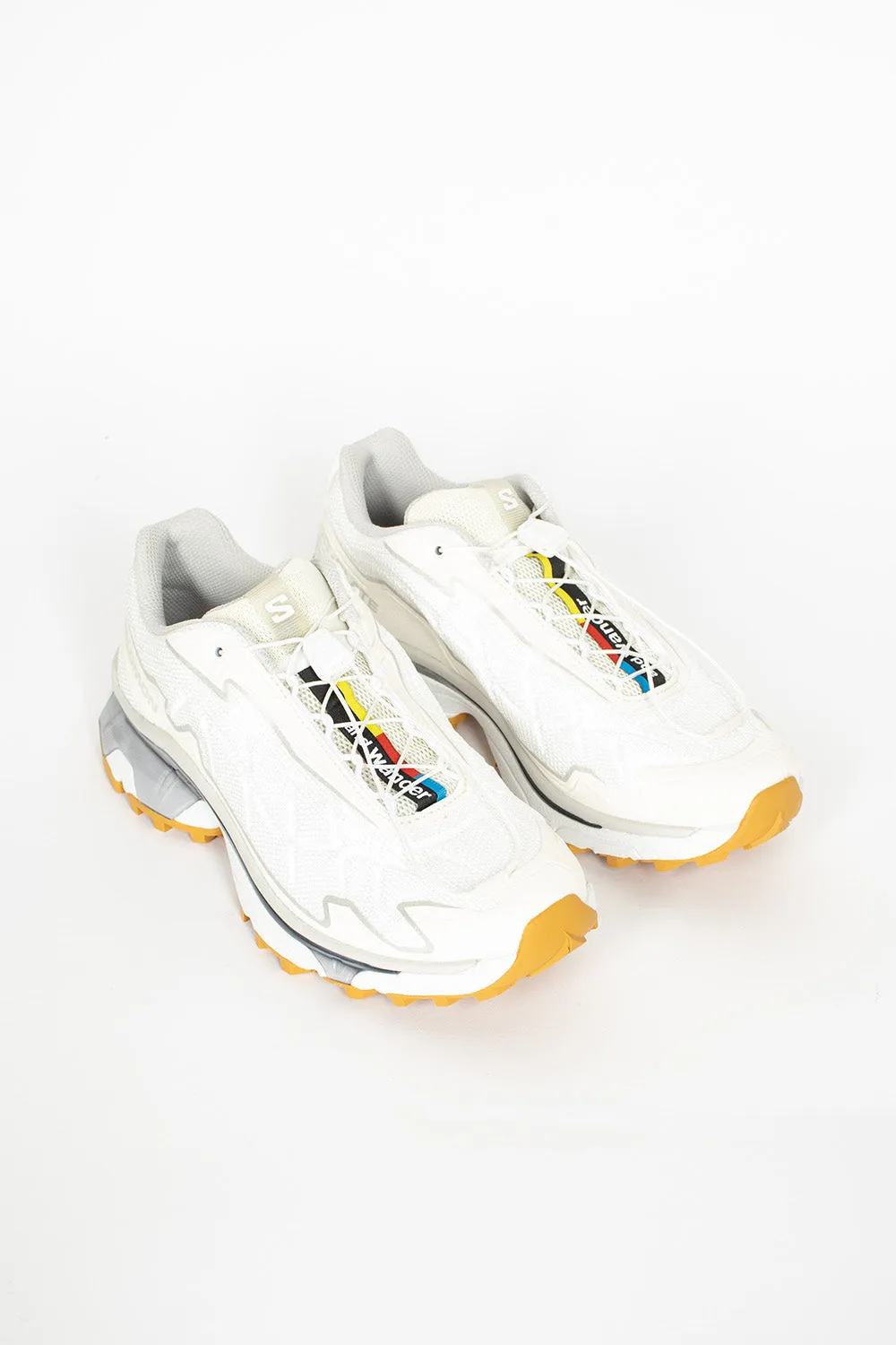 Salomon XT-SLATE White